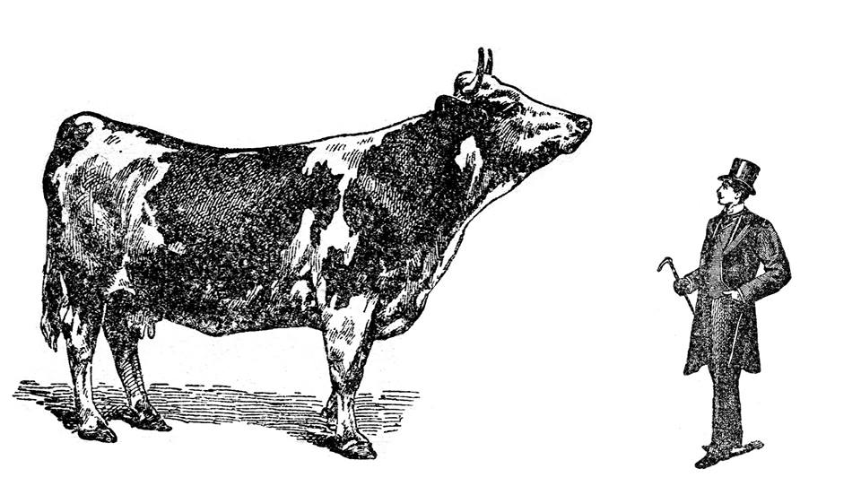 Apéro vegan participatif / échange autour de l&rsquo;anticapitalisme