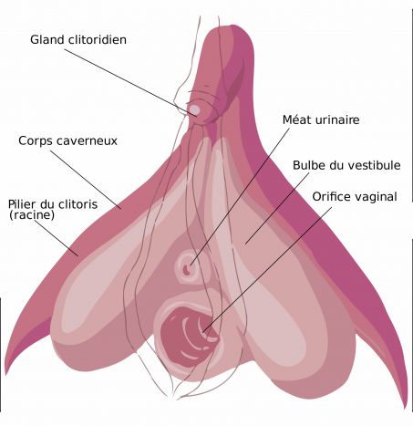 Inauguration du Clitoris