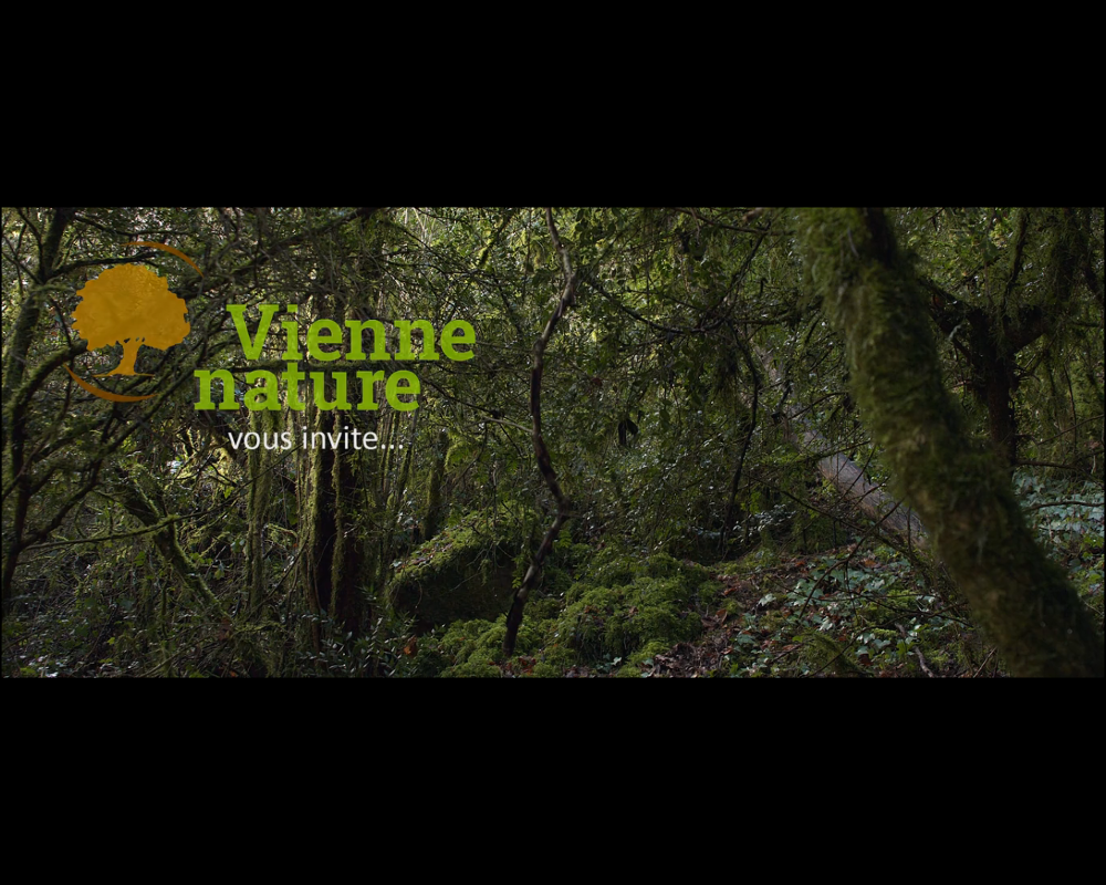 Rencontres nature en Vienne : les forêts