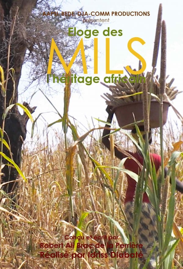 Éloge des mils : l’héritage africain