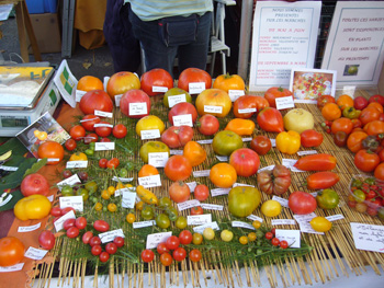 AMAP, vous avez dit AMAP ?