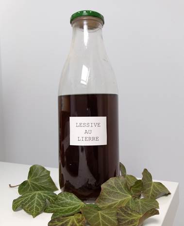 Lessive au lierre ? Quesako ?