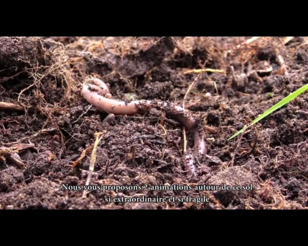 [vidéo] « Le Sol vivant » animation et exposition en compagnie de « Juju le ver de terre »