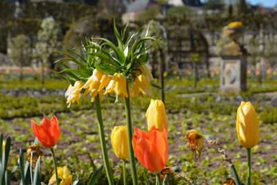 Troc à Vouneuil/Biard le 28 avril !