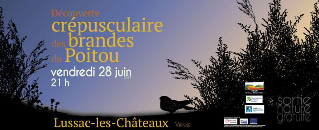 Découverte crépusculaire des Brandes du Poitou