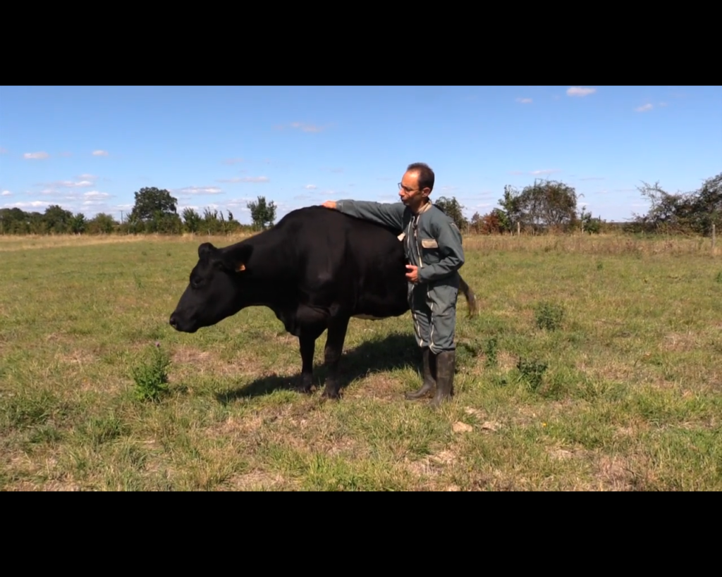[vidéo] Ce week-end à la ferme du Pré Joly