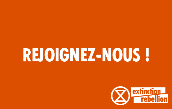 Action « Block Friday » à Poitiers le 29 novembre !