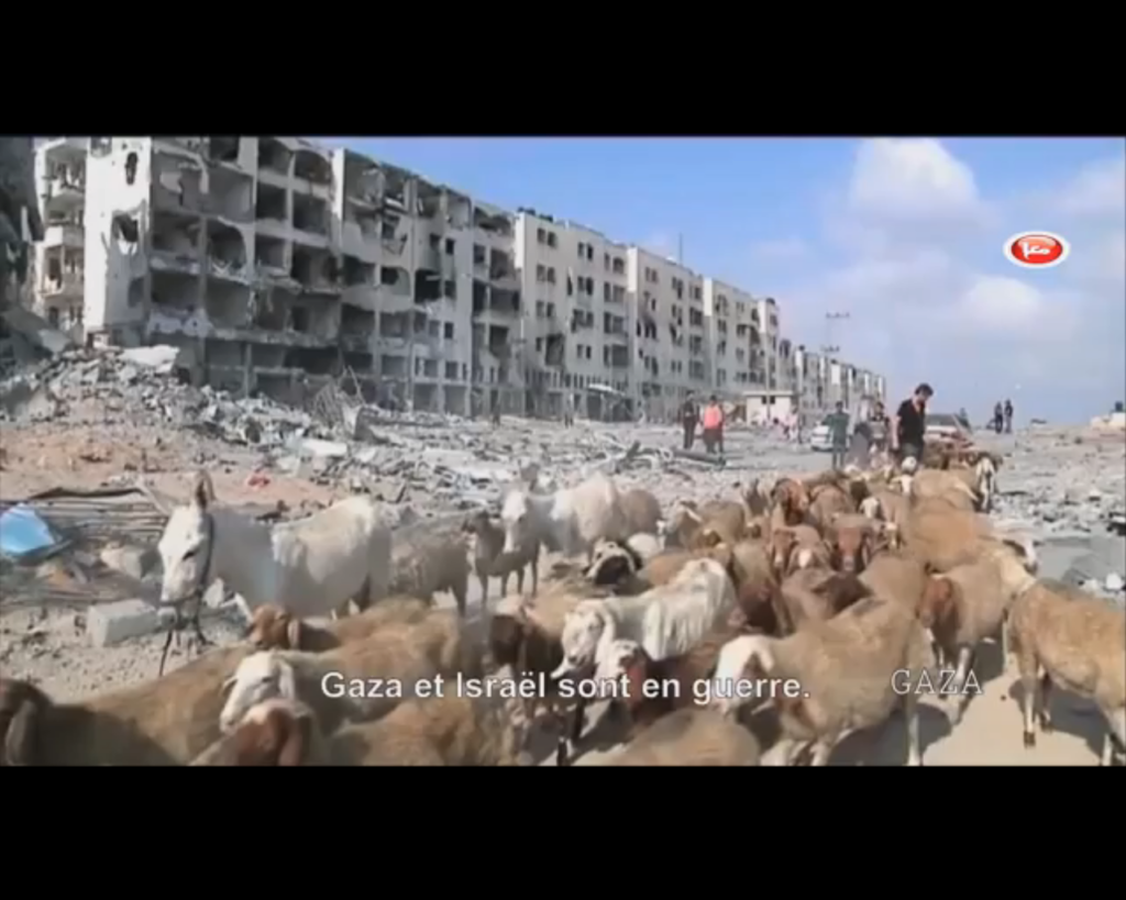 Un long été brûlant en Palestine