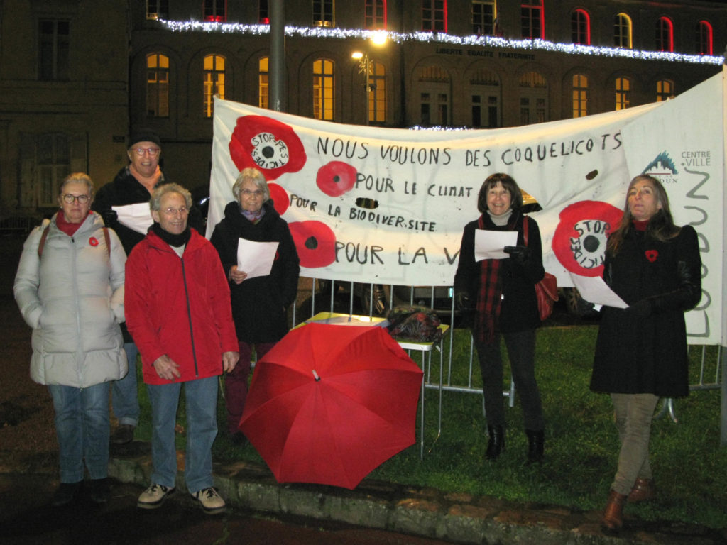 Des coquelicots à Loudun