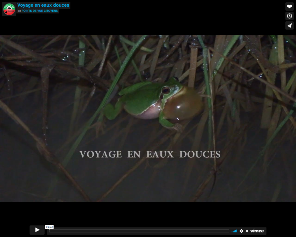 Financement participatif  « Découverte des zones humides en Poitou : mares, étangs, petits marais, rivières »