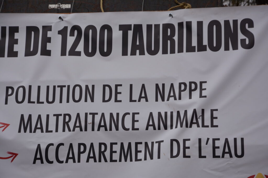 [Photos-Vidéos] A Coussay les Bois, l’usine d’engraissement enferme ses premiers taurillons (Partie 1)