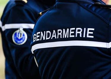 238 nouvelles brigades de gendarmerie au royaume de France ;