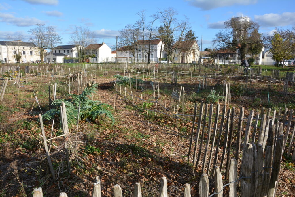 [Photos] Parc des Dunes : ça pousse !