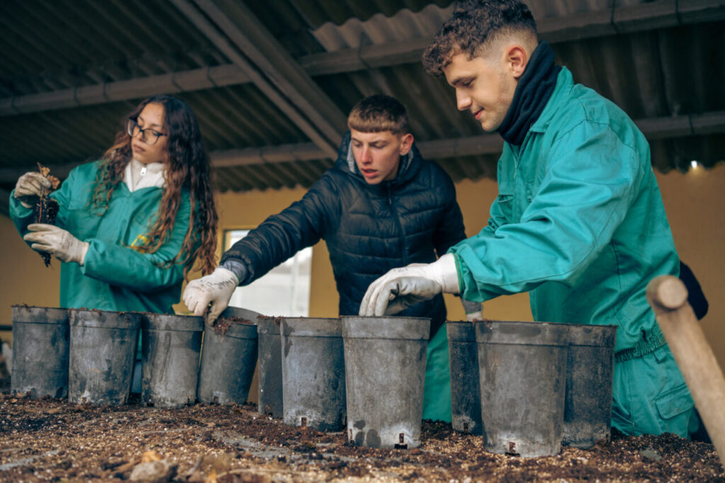 [podcast] Éveille ta Ville épisode 12 : une école pour s’instruire et se reconstruire en nature