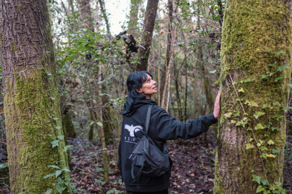 [podcast] Éveille ta Ville épisode 17 : Milvoz, un système pour faire fleurir des oasis de biodiversité