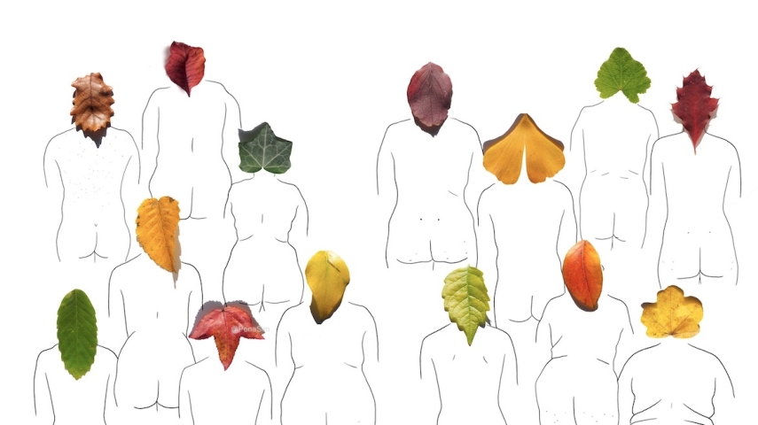 Aidez à financer une auto édition locale et féministe !