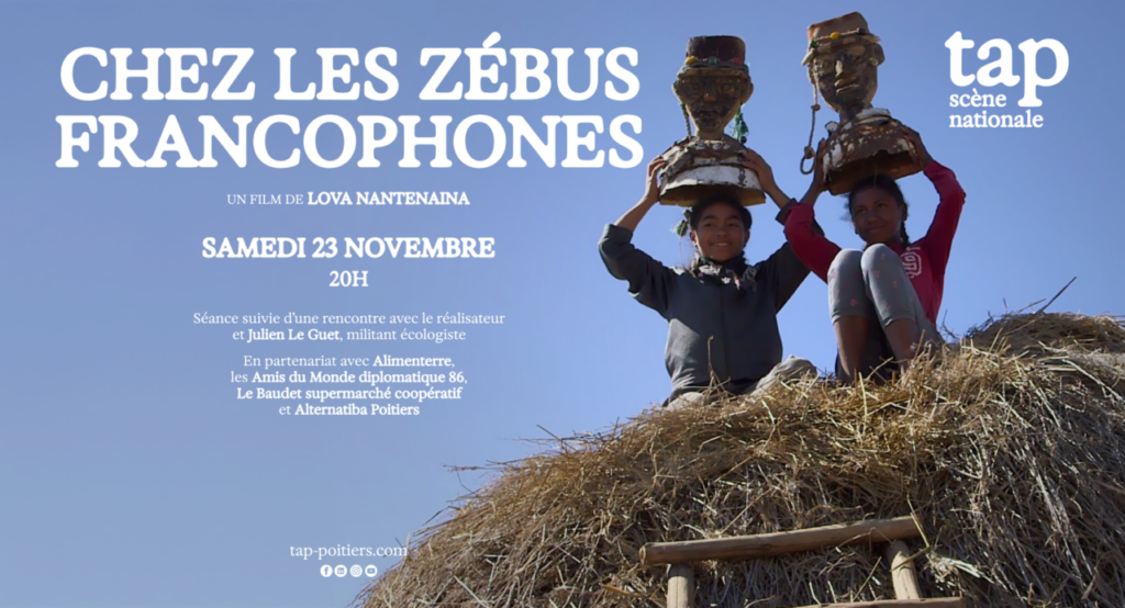 « Chez les zébus francophones » au TAP Castille