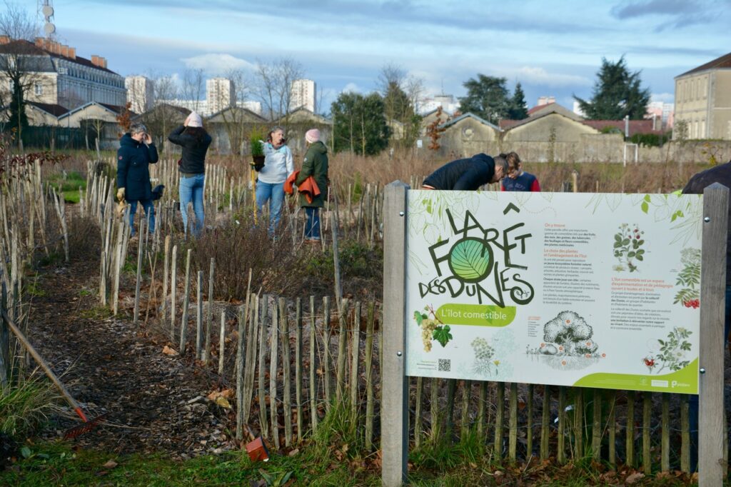 [Photos] Aux Dunes, on plante et ça pousse !