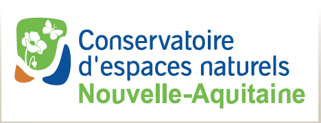 Avec le Conservatoire d’espaces naturels de Nouvelle-Aquitaine : Renaturation des milieux humides à Quinçay