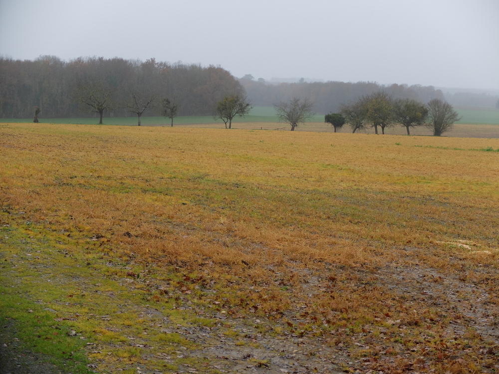 Lettre ouverte aux élu-es du Collectif Eau Smarves