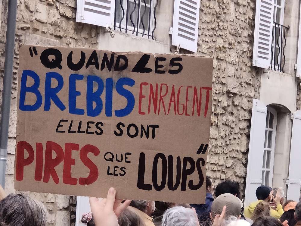 [photos-vidéos] 10 septembre, 14h00, Poitiers : un monde de dingue ! (Episode 1)