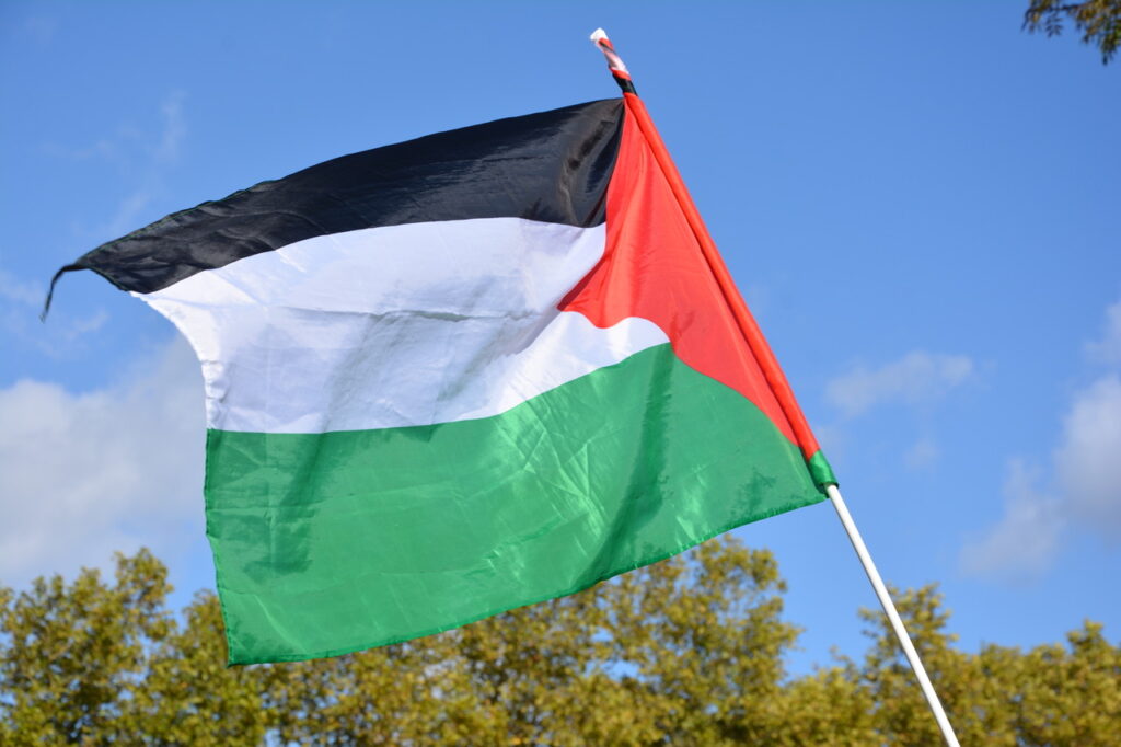 [Vidéo] Samedi 15 novembre à Châtellerault : danses pour la paix, soutien au peuple palestinien